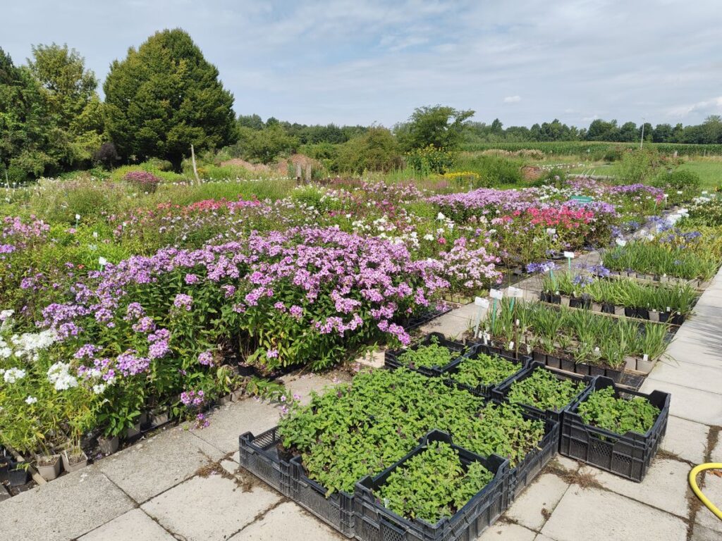 Staudengärtnerei als Gartenreise-Ziel