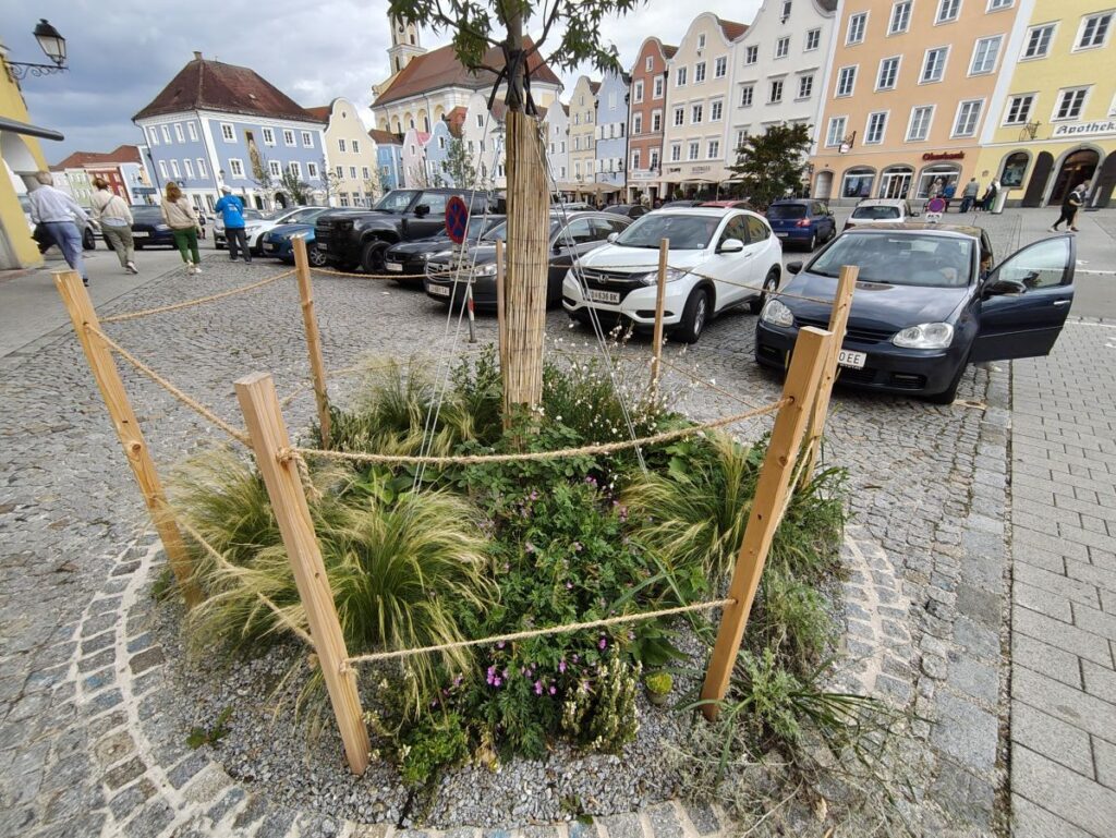 alternativ bepflanzte Baumscheibe