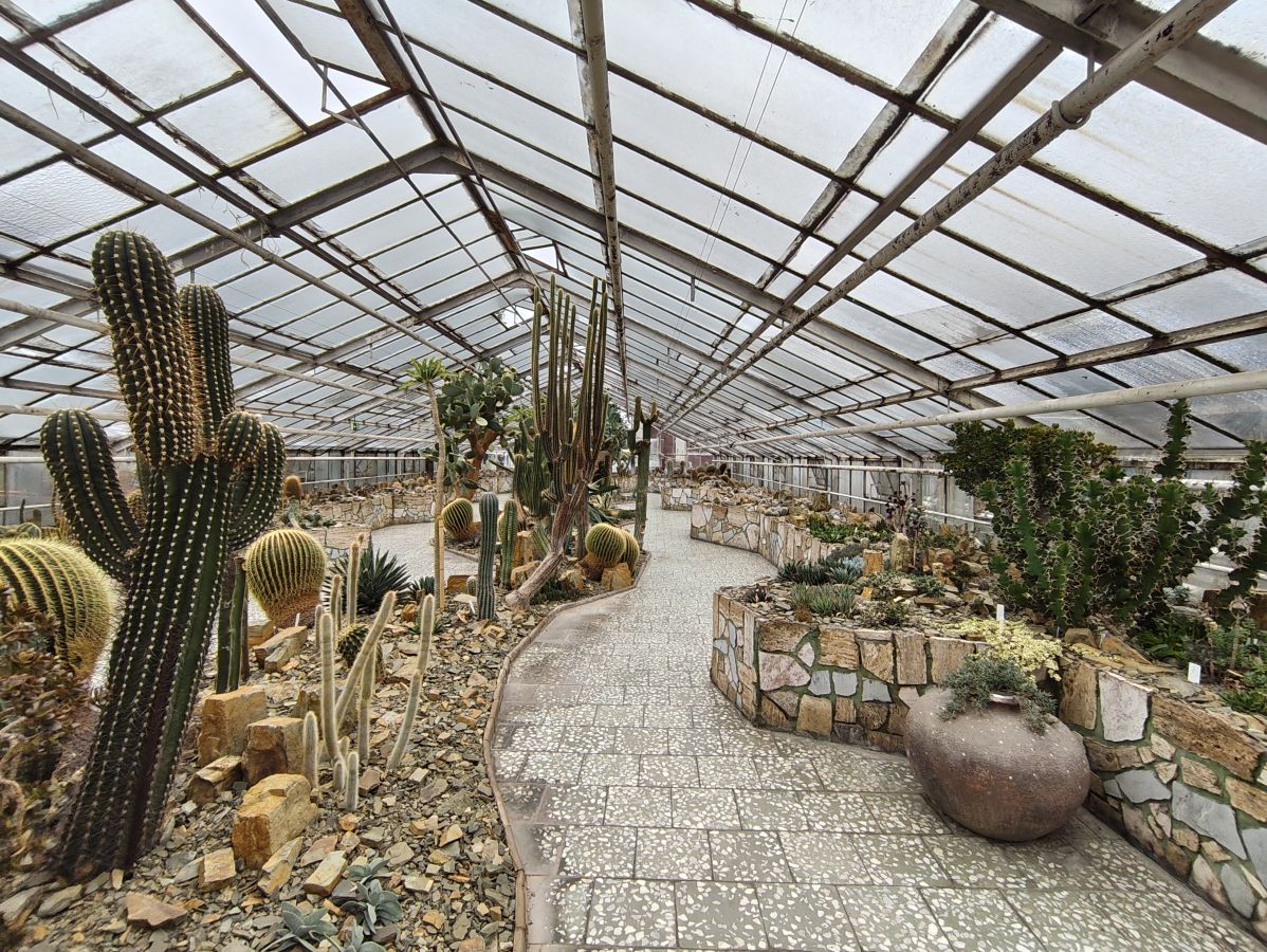 Das phänomenale Kaktus-Schauhaus von Olmütz und andere botanische Kostbarkeiten