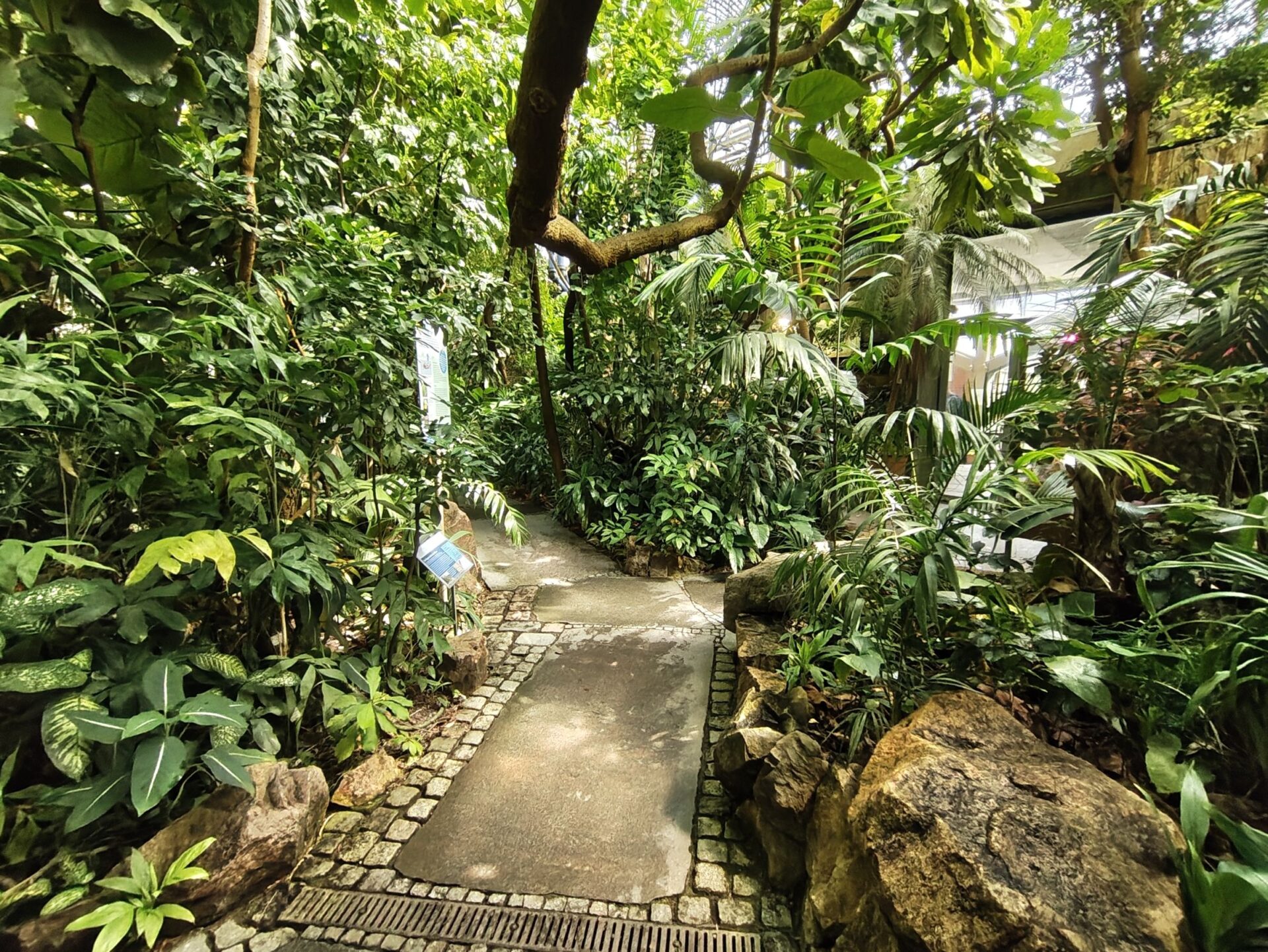 Der entzückende Botanische Garten von Erlangen