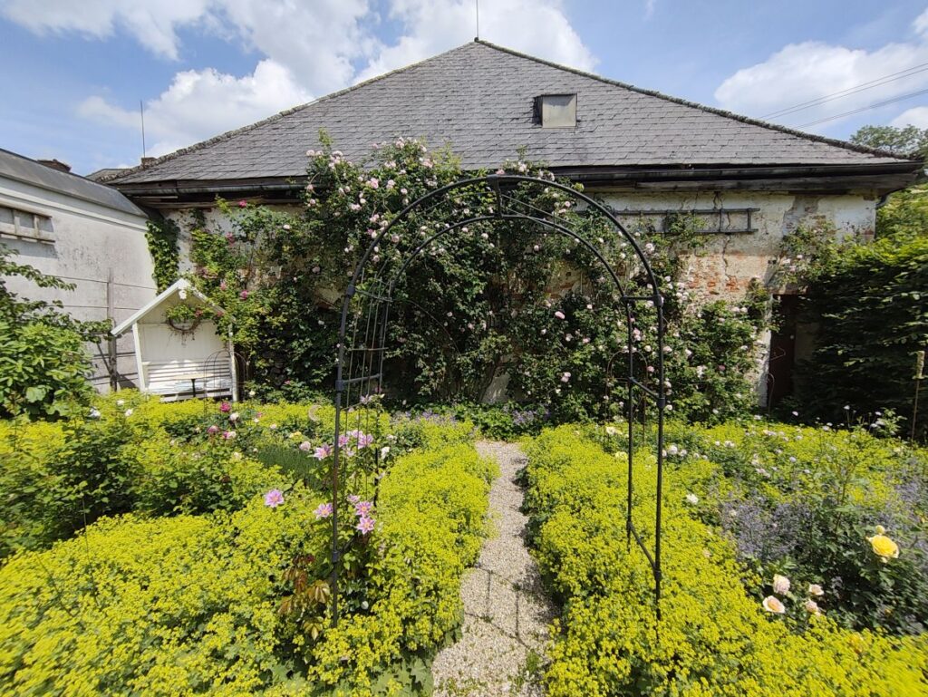 Rosengarten mit Laube im Schlossgarten Pfaffstätt
