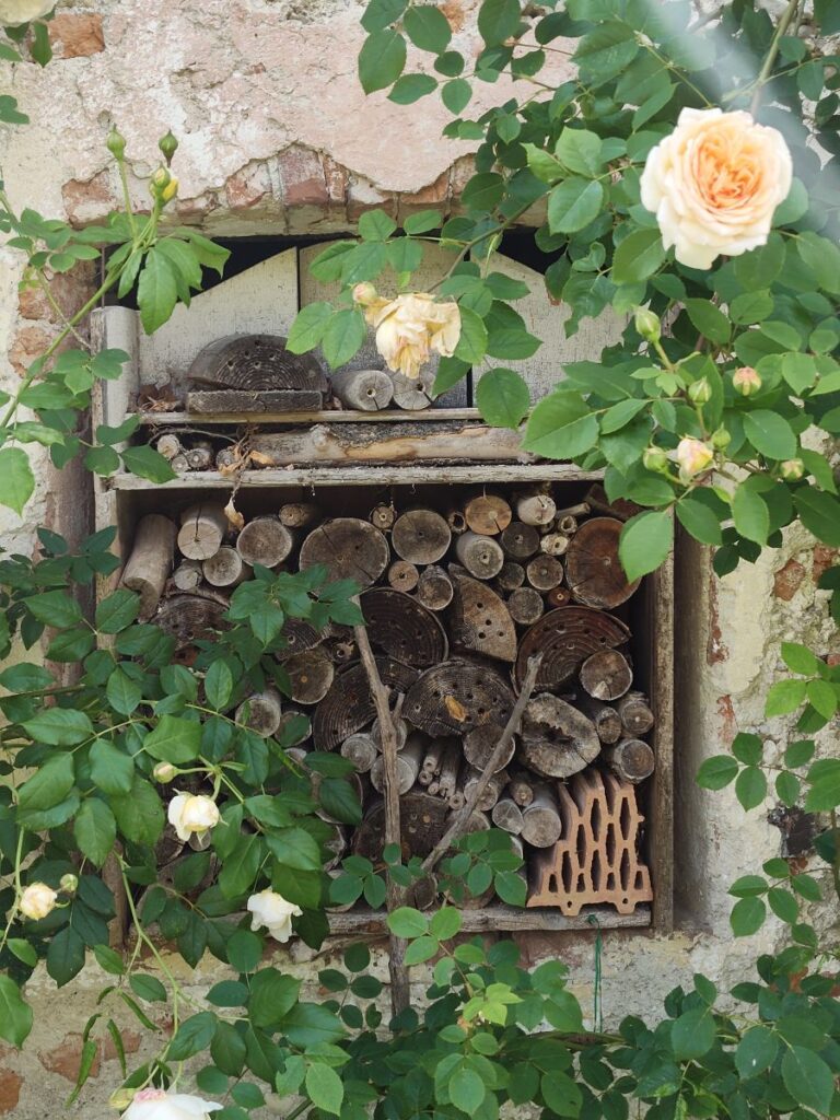 alternative Fensterausfachung im Rosengarten von Schloss Pfaffstätt