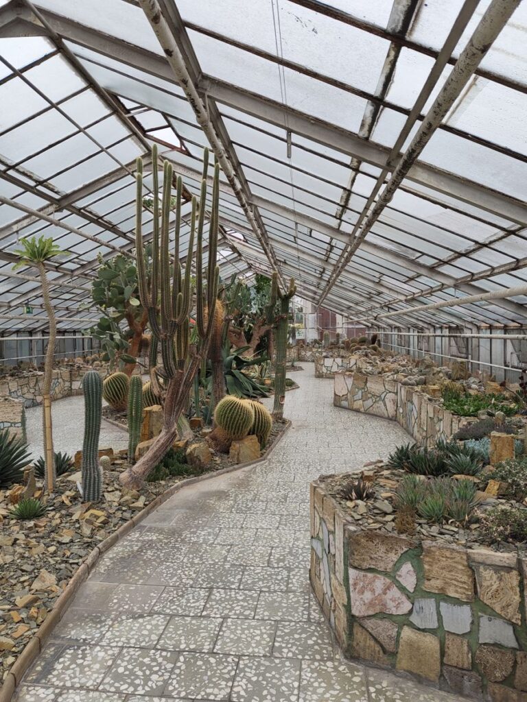 Kakteenhaus Olmütz / Olomouc, im Flora-Park