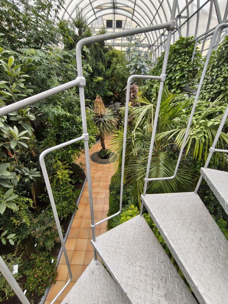 Tropenhaus im Botanischen Garten Brünn