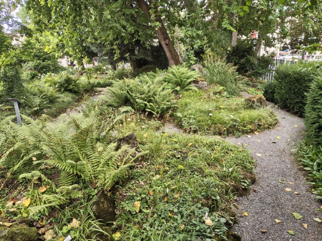 Farngarten