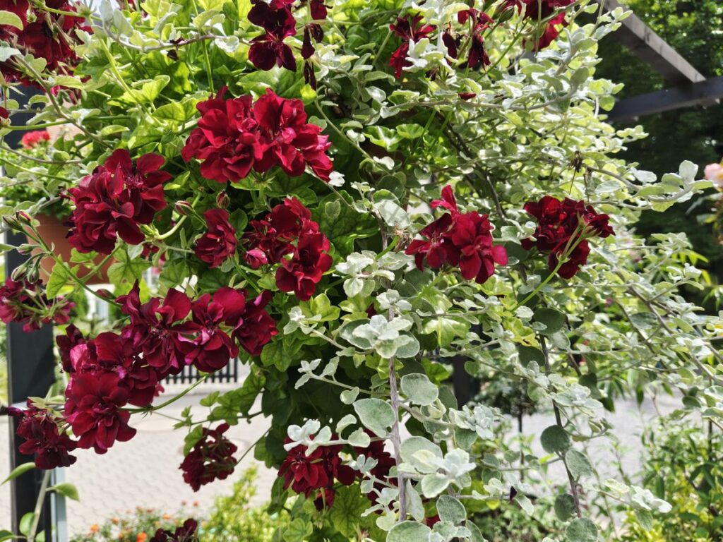 gelbe Blüten alsAbfall