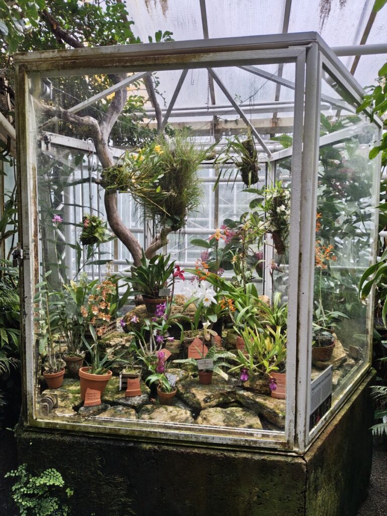 Kleines Orchideenhaus