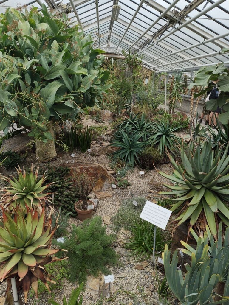 im  Madagaskarhaus