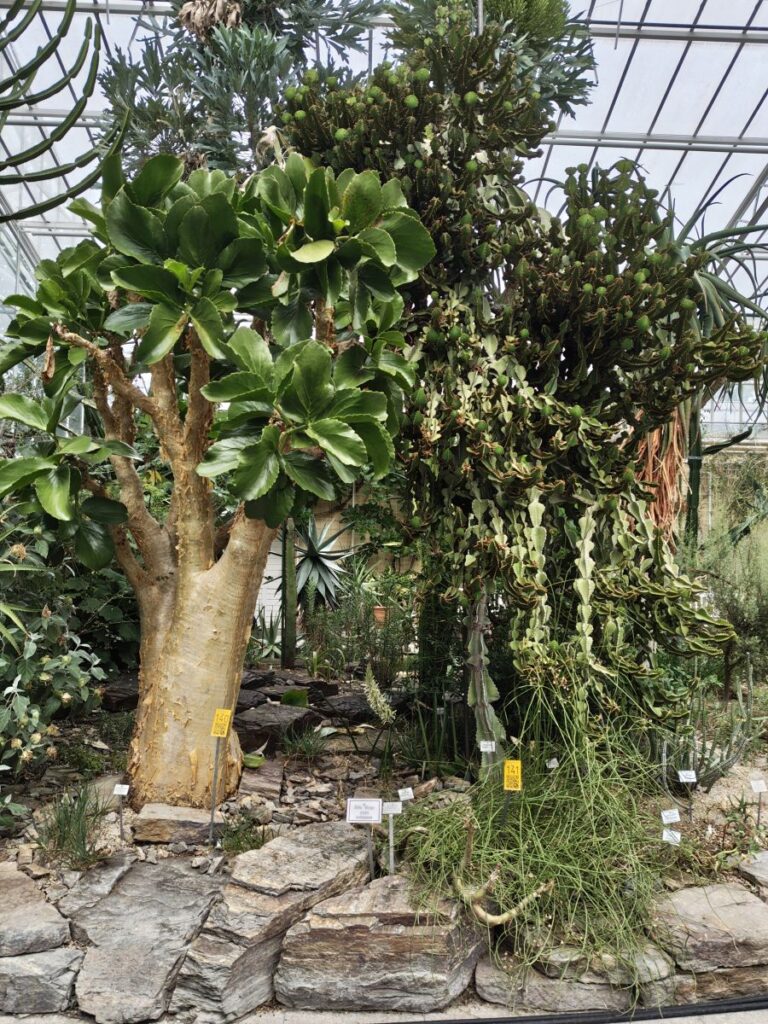 im Madagaskarhaus
