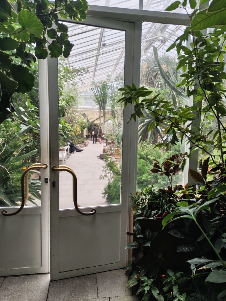 Trennwand im Tropenhaus, mit Türe