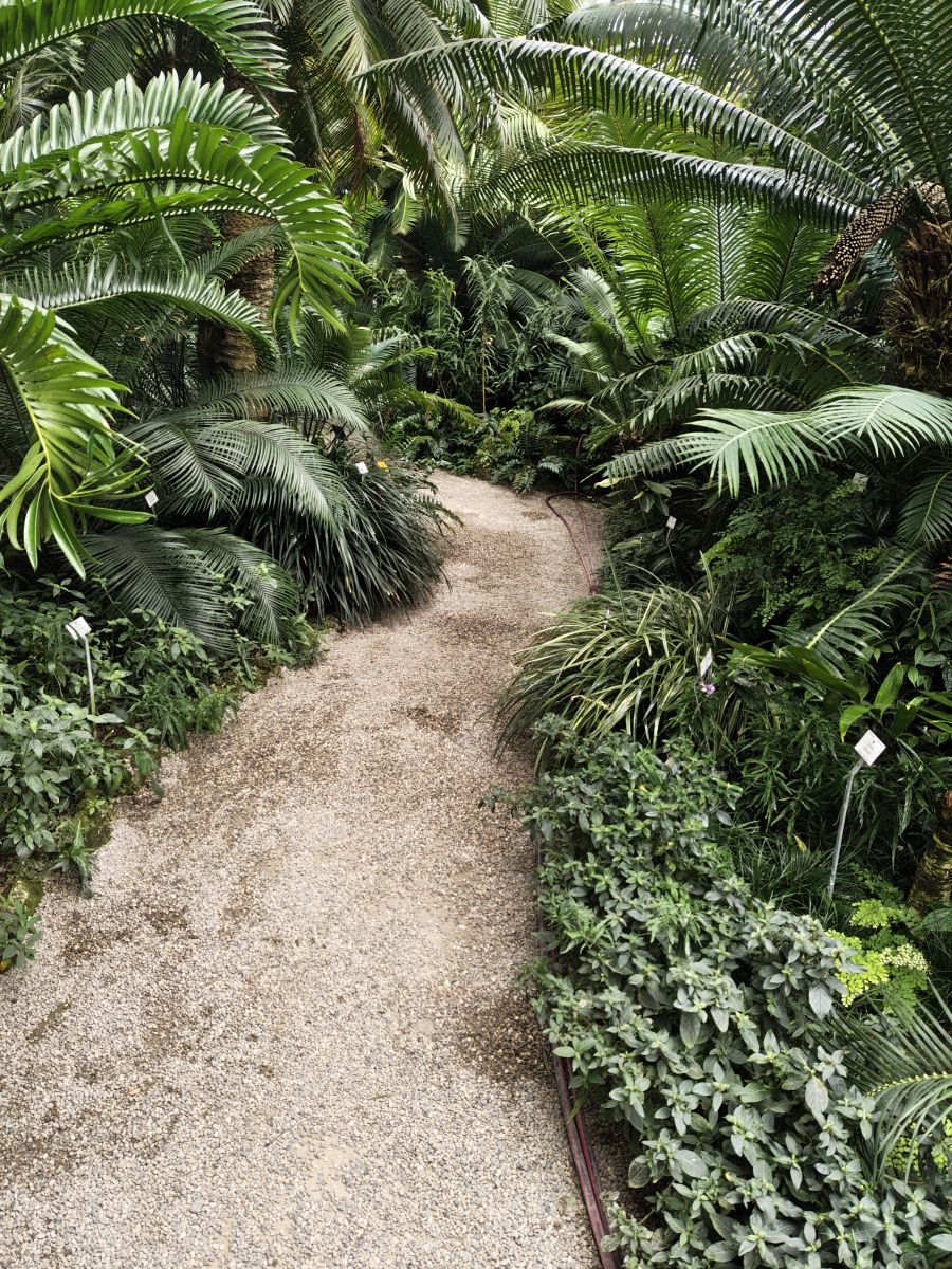 Botanischer Garten München (28-08-2025)