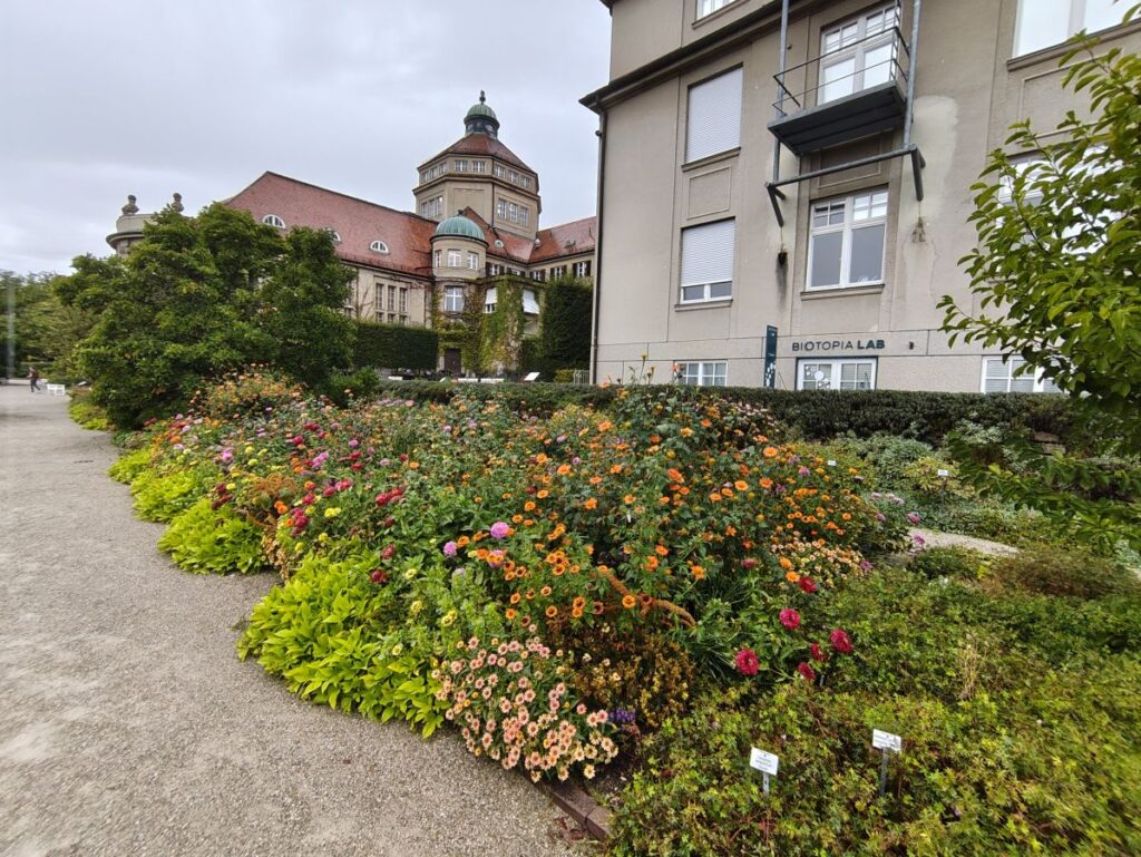Außengelände im 
Botanischen Garten München