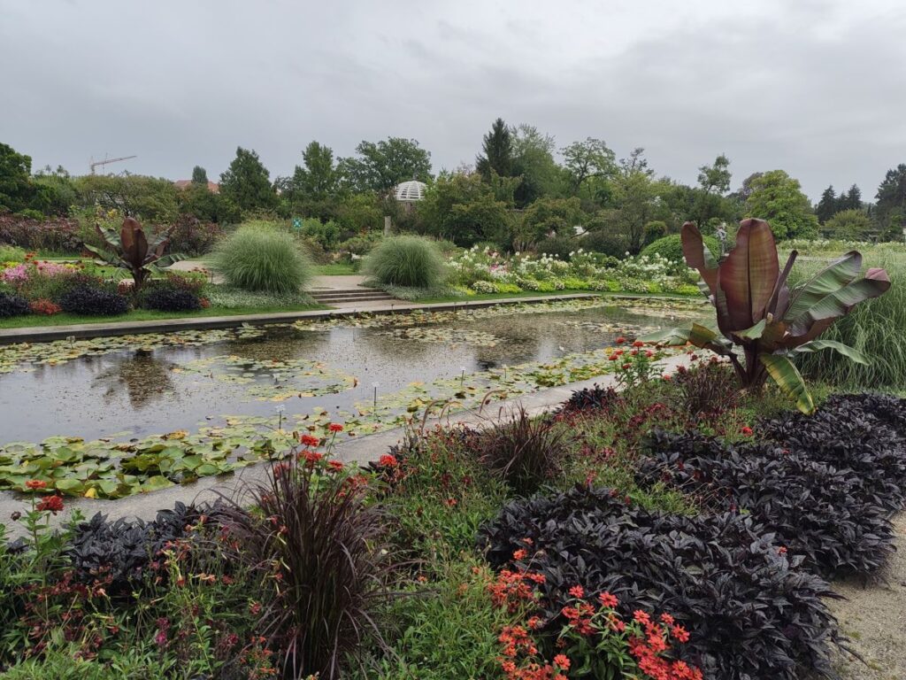 Wasserbecken im 
Botanischen Garten München