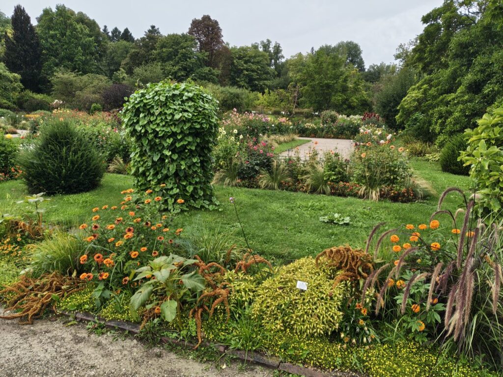 Außengelände im 
Botanischen Garten München