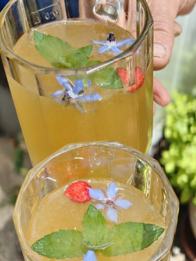 Kräuterteebier mit Blüten