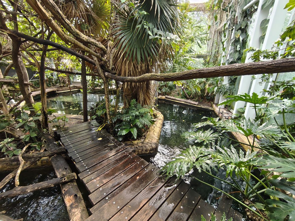 Das tropische Manati-Haus im Zoo Nürnberg