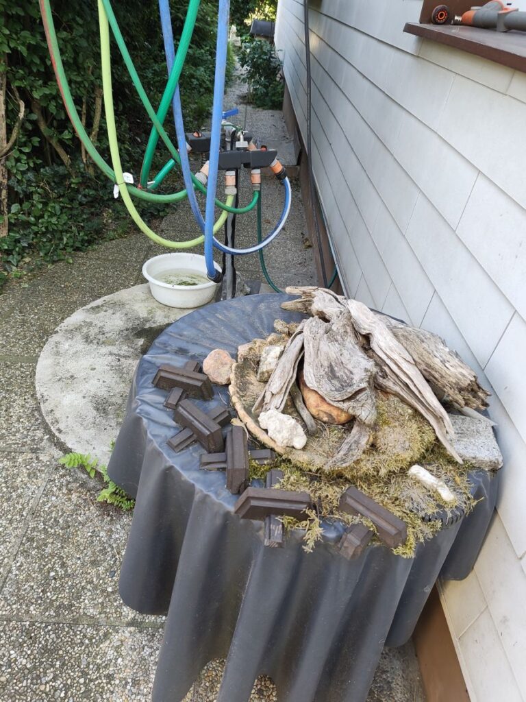 Gartenbewässerung