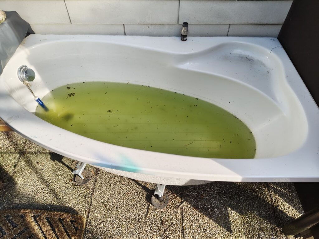 Regenwassersammlung