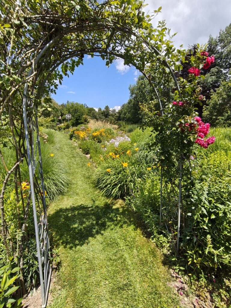 dicht bepflanztes Staudenbeet