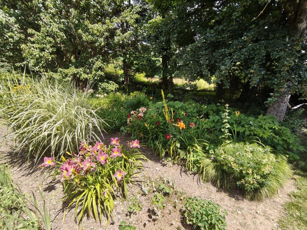 dicht bepflanztes Staudenbeet