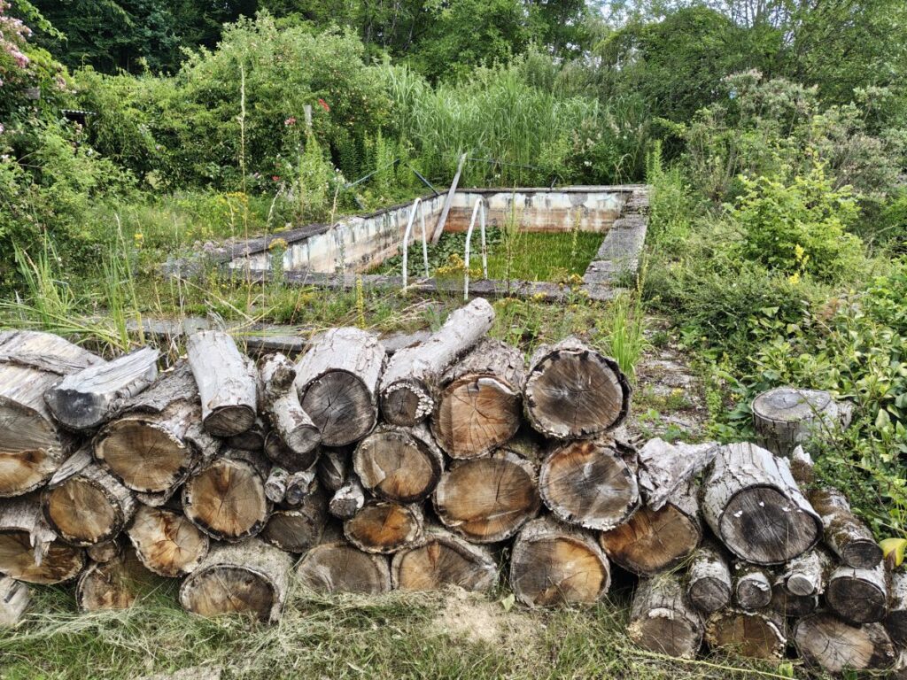 Verwitterter Holzstoß vor einem aufgelassenen Swimmingpool
