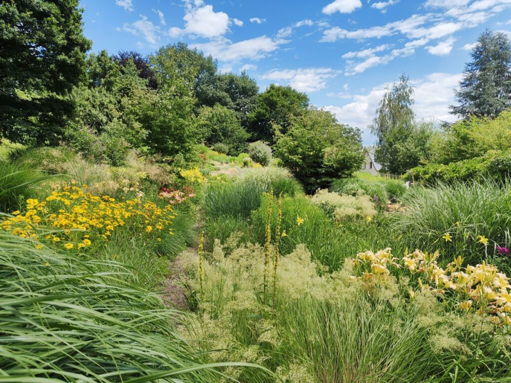 dicht bepflanztes Staudenbeet mit Miscanthus und Sonnenhut