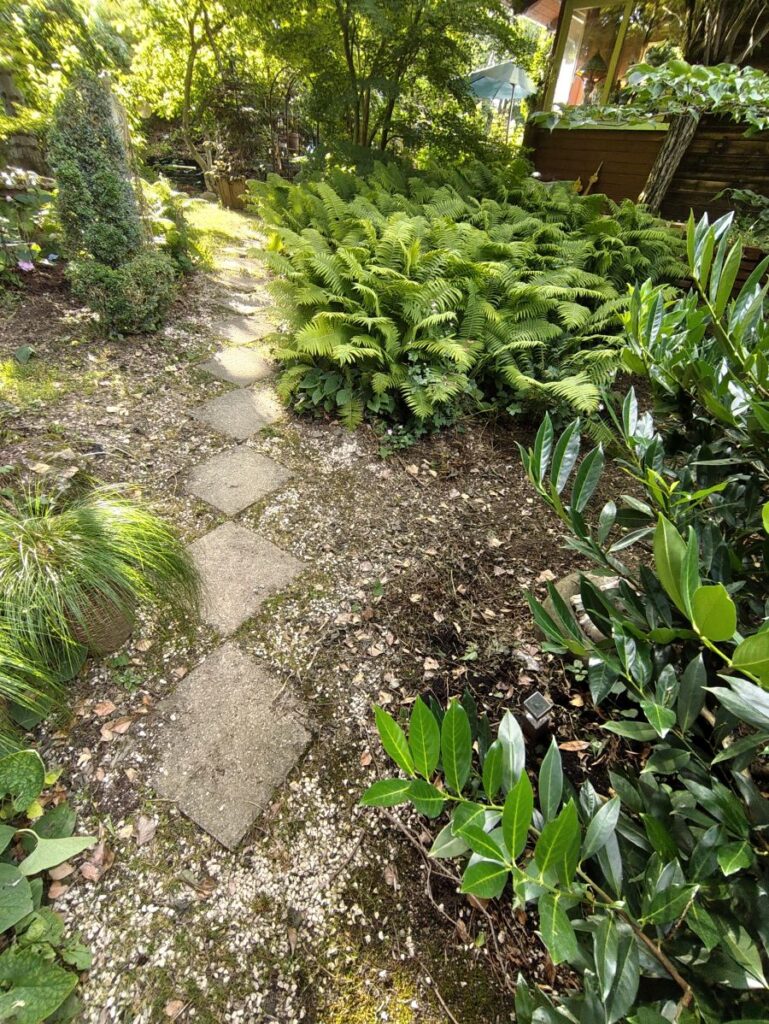 Farngarten