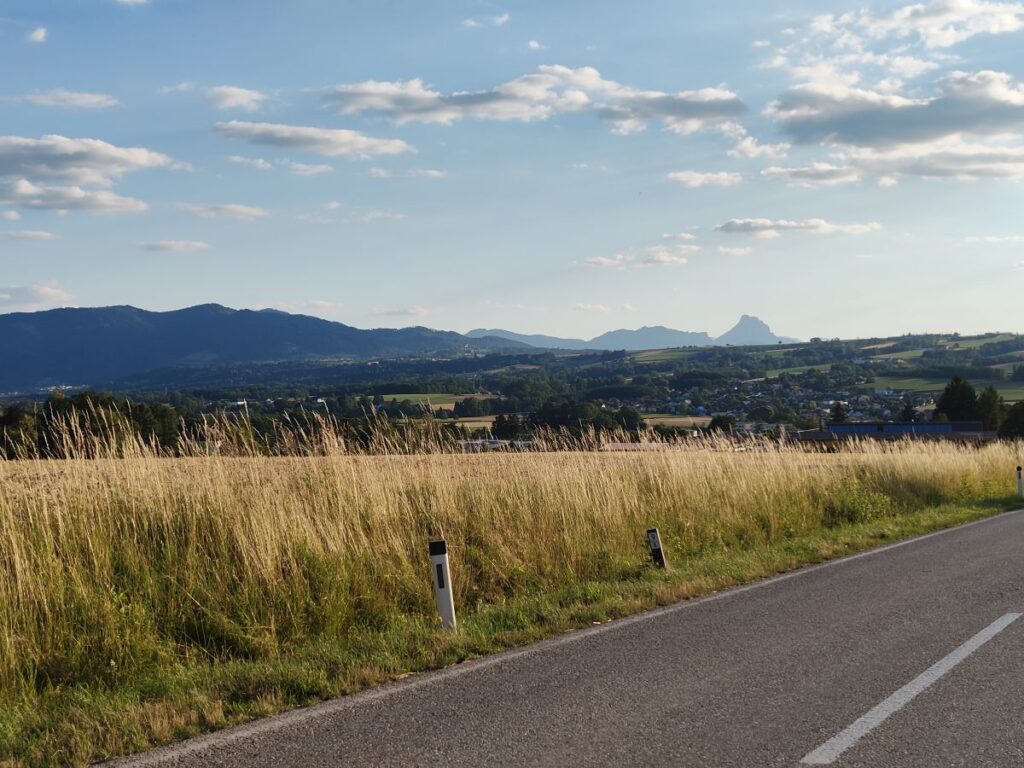 Weizengeld mit Ausblick aufs oberösterreichische Alpenvorland